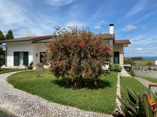 Ferienwohnung Casa Gorjao Anadia Exterior foto