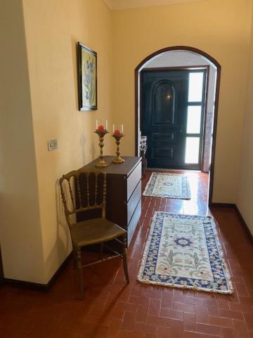 Ferienwohnung Casa Gorjao Anadia Exterior foto